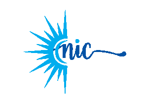 Noor International Emblem Logo